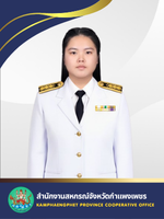 Noy.jpg