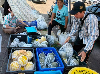 ประชาสัมพันธ์และจำหน่ายเมล่อนผลผลิตของสมาชิกกลุ่มเตรียมสหกรณ์บ้านสุขวิจิตรพัฒนา ตำบลคลองลานพัฒนา อำเภอคลองลาน จังหวัดกำแพงเพชร ในโครงการพัฒนาพื้นที่สูงอย่างยั่งยืน เพื่อเพิ่มช่องทางการจำหน่าย ส่งเสริมการขาย และสร้างรายได้ให้กับสมาชิกกลุ่มเตรียมสหกรณ์ ฯ ... พารามิเตอร์รูปภาพ 2