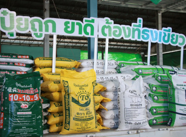 โครงการ “ไทยช่วยไทย ลดภาระปัจจัยการผลิต : ... พารามิเตอร์รูปภาพ 4