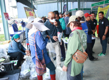โครงการ “ไทยช่วยไทย ลดภาระปัจจัยการผลิต : ... พารามิเตอร์รูปภาพ 6