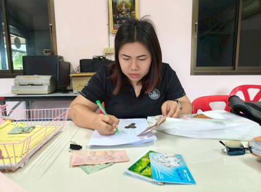 ลงพื้นที่ตรวจสอบกิจการ ฐานะทางการเงิน ... พารามิเตอร์รูปภาพ 1