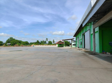 ติดตาม แนะนำ ... พารามิเตอร์รูปภาพ 11