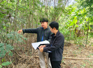 ลงพื้นที่ตรวจสอบแนวเขตที่ดิน ... พารามิเตอร์รูปภาพ 22