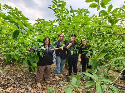 ติดตามผลผลิตและให้คำแนะนำการดำเนินธุรกิจของสหกรณ์ ... พารามิเตอร์รูปภาพ 1