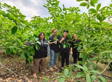 ติดตามผลผลิตและให้คำแนะนำการดำเนินธุรกิจของสหกรณ์ ... พารามิเตอร์รูปภาพ 8