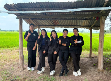 ลงพื้นที่ติดตามโครงการแก้ไขปัญหาหนี้สินและพัฒนาคุณภาพชีวิตสมาชิกสหกรณ์/กลุ่มเกษตรกร ในการส่งเสริมอาชีพการปลูกพริก “พันธุ์ศรีสุดา” และการส่งเสริมการปลูกข้าวเหนียว “พันธุ์สันป่าตอง”ณ สหกรณ์การเกษตรลานกระบือ จำกัด ... พารามิเตอร์รูปภาพ 3