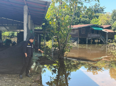 สำนักงานสหกรณ์จังหวัดกำแพงเพชร ร่วมกับสหกรณ์การเกษตรวังแขม ... พารามิเตอร์รูปภาพ 11