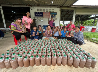 โครงการส่งเสริมและพัฒนาอาชีพเพื่อแก้ไขปัญหาที่ดินทำกินของสหกรณ์ ภายใต้โครงการจัดที่ดินทำกินให้ชุมชนตามนโยบายรัฐบาล (ป่าเขาเขียว ป่าเขาสว่าง และป่าคลองห้วยทราย) ประจำปีงบประมาณ พ.ศ.2567 ... พารามิเตอร์รูปภาพ 8
