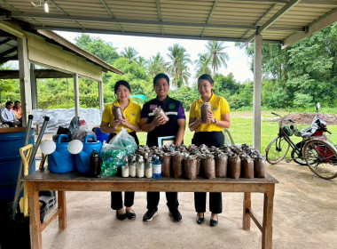 โครงการส่งเสริมและพัฒนาอาชีพเพื่อแก้ไขปัญหาที่ดินทำกินของสหกรณ์ ภายใต้โครงการจัดที่ดินทำกินให้ชุมชนตามนโยบายรัฐบาล (ป่าเขาเขียว ป่าเขาสว่าง และป่าคลองห้วยทราย) ประจำปีงบประมาณ พ.ศ.2567 ... พารามิเตอร์รูปภาพ 10