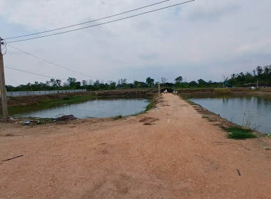 ลงพื้นที่ตรวจสอบการใช้ที่ดินของสมาชิกในการใช้ประโยชน์ในเขตที่ดินนิคมฯ ให้ถูกต้องตามระเบียบกรมฯ ว่าด้วยการบริหารจัดการนิคมสหกรณ์ พ.ศ. 2561 ... พารามิเตอร์รูปภาพ 3