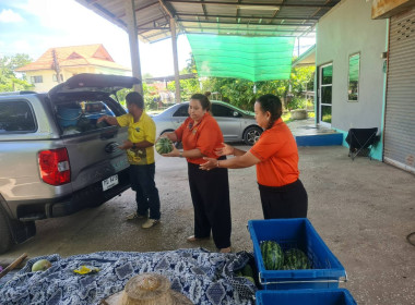 ร่วมช่วยเหลือเกษตรกร ระบายผลผลิตทางการเกษตร (แตงโม) ... พารามิเตอร์รูปภาพ 7