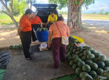 ร่วมช่วยเหลือเกษตรกร ระบายผลผลิตทางการเกษตร (แตงโม) ... พารามิเตอร์รูปภาพ 15