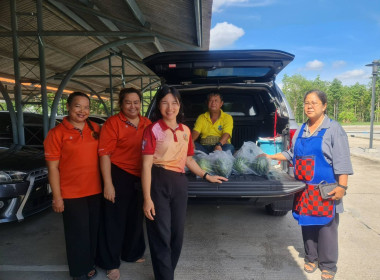 ร่วมช่วยเหลือเกษตรกร ระบายผลผลิตทางการเกษตร (แตงโม) ... พารามิเตอร์รูปภาพ 17