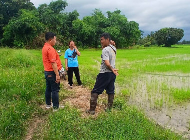 ลงพื้นที่ตรวจสอบแปลงที่ดินของสมาชิกให้ถูกต้องตามที่ตั้งของที่ดินในเขตนิคมสหกรณ ก่อนทำการร่วมระวังชี้แนวเขตและลงชื่อรับรองของเขตที่ดินตามโครงการบอกดิน 3 ของสำนักงานที่ดินจังหวัดกำแพงเพชร ... พารามิเตอร์รูปภาพ 1