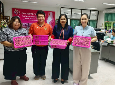 กระจายผลผลิตลำไยจาก เครือข่ายสหกรณ์จังหวัดลำพูน ... พารามิเตอร์รูปภาพ 7