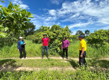 ลงพื้นที่ ตรวจเยี่ยมสมาชิกสหกรณ์การเกษตร คทช.ตำบลท่าไม้ ... พารามิเตอร์รูปภาพ 3