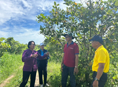 ลงพื้นที่ ตรวจเยี่ยมสมาชิกสหกรณ์การเกษตร คทช.ตำบลท่าไม้ ... พารามิเตอร์รูปภาพ 5