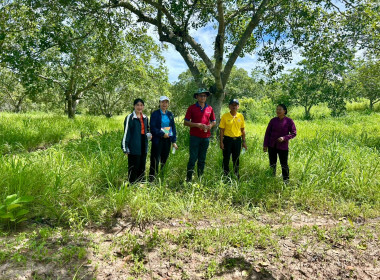 ลงพื้นที่ ตรวจเยี่ยมสมาชิกสหกรณ์การเกษตร คทช.ตำบลท่าไม้ ... พารามิเตอร์รูปภาพ 6