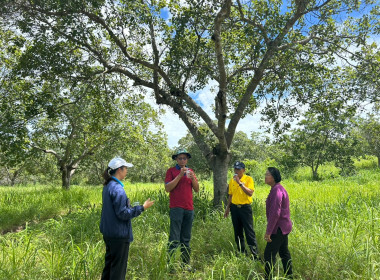ลงพื้นที่ ตรวจเยี่ยมสมาชิกสหกรณ์การเกษตร คทช.ตำบลท่าไม้ ... พารามิเตอร์รูปภาพ 7
