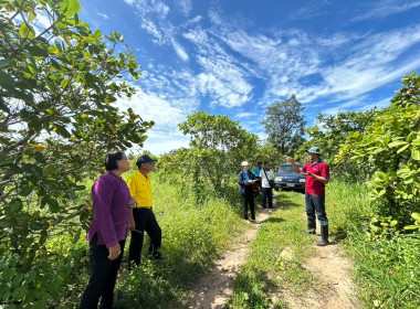 ลงพื้นที่ ตรวจเยี่ยมสมาชิกสหกรณ์การเกษตร คทช.ตำบลท่าไม้ ... พารามิเตอร์รูปภาพ 8