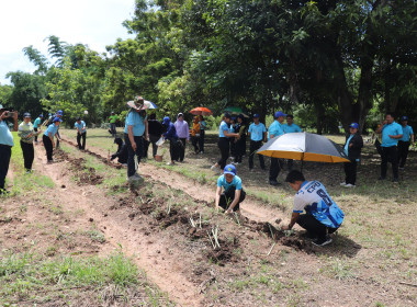 โครงการเสริมสร้างสมดุลชีวิตคนทำงาน ประจำปีงบประมาณ พ.ศ.2568 ... พารามิเตอร์รูปภาพ 13