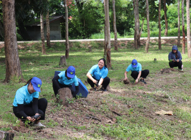 โครงการเสริมสร้างสมดุลชีวิตคนทำงาน ประจำปีงบประมาณ พ.ศ.2568 ... พารามิเตอร์รูปภาพ 5