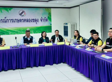 ประชุมหารือ ... พารามิเตอร์รูปภาพ 2