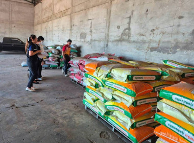 ลงพื้นที่ตรวจสอบกิจการและฐานะทางการเงินของสหกรณ์การเกษตรคลองขลุง จำกัด ระหว่างวันที่ 24 – 25 ธันวาคม 2568 ... พารามิเตอร์รูปภาพ 6