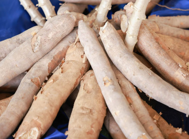 พิธีลงนามบันทึกข้อตกลง ซื้อ-ขาย มันสำปะหลังหัวสด, ... พารามิเตอร์รูปภาพ 16