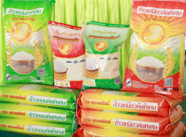 พิธีลงนามบันทึกข้อตกลง ซื้อ-ขาย มันสำปะหลังหัวสด, ... พารามิเตอร์รูปภาพ 18