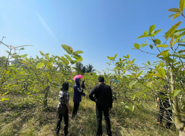 ลงพื้นที่ตรวจสอบกิจการและฐานะทางการเงินของสหกรณ์การเกษตรบึงสามัคคี จำกัด ... พารามิเตอร์รูปภาพ 4
