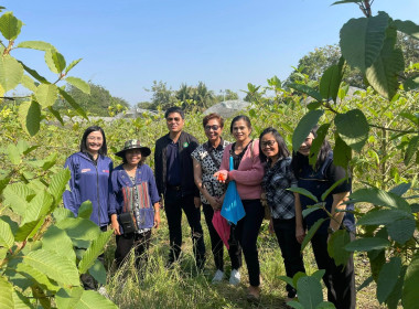 ลงพื้นที่ตรวจสอบกิจการและฐานะทางการเงินของสหกรณ์การเกษตรบึงสามัคคี จำกัด ... พารามิเตอร์รูปภาพ 5