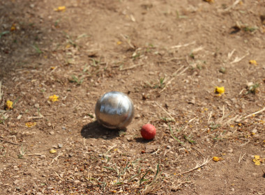 สำนักงานสหกรณ์จังหวัดกำแพงเพชร นำโดยนางสาวมณฑาทิพย์ บัวเทศ ... พารามิเตอร์รูปภาพ 10